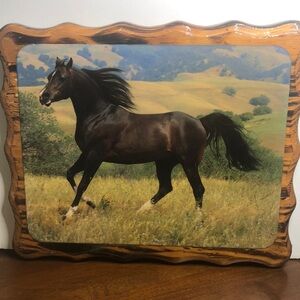 Horse Decoupage Art on Wood